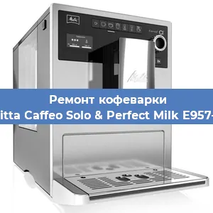 Чистка кофемашины Melitta Caffeo Solo & Perfect Milk E957-103 от накипи в Новосибирске